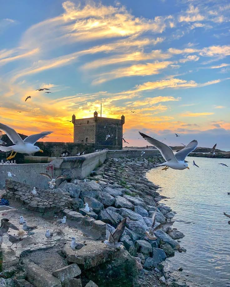 Full-Day Escape to Essaouira – A Captivating Blend of Sea, History & Culture